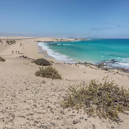 Fuerteventura Herbania * 科拉雷侯