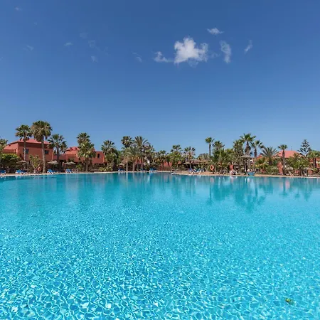 Fuerteventura Herbania 科拉雷侯