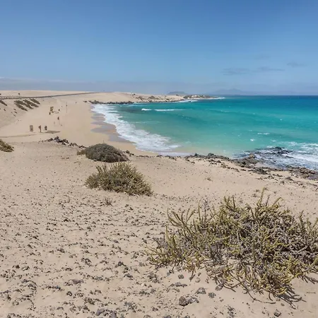 Fuerteventura Herbania * 科拉雷侯