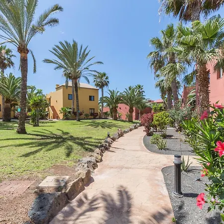 Fuerteventura Herbania